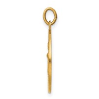 14K Yellow Gold Polished and Satin Solid Infant of Prague Medal Round Charm view 2