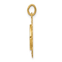 14K Yellow Gold Polished and Satin Solid Our Lady of Lourdes Medal Scalloped Edge Round Pendant view 2