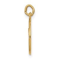 14K Yellow Gold Polished and Satin Solid Our Lady of Mt. Carmel Medal Round Charm view 2
