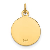 14K Yellow Gold Polished and Satin Solid Our Lady of Mt. Carmel Medal Round Charm view 4