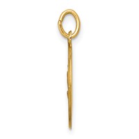 14K Yellow Gold Polished and Satin Solid Our Lady of Fatima Medal Round Charm view 2