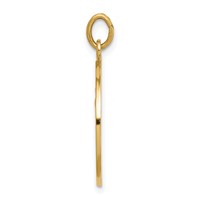 14K Yellow Gold Polished and Satin Solid Our Lady of Fatima Medal Round Pendant view 2