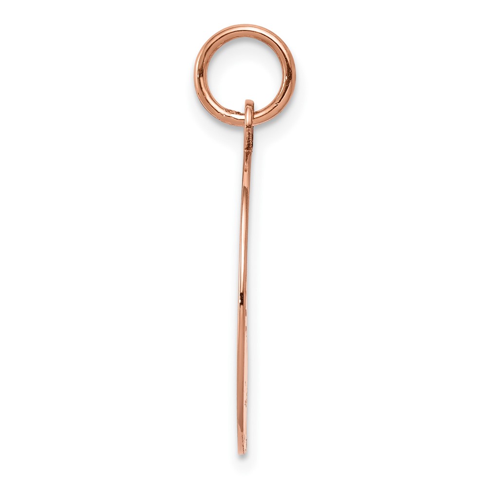 14k Rose Gold Plain .013 Gauge Circular Engraveable Disc Charm (XRM136/13)