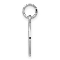 Sterling Silver Rhodium-plated Medical Jewelry Charm view 2