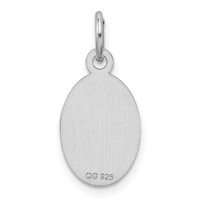 Sterling Silver Rhodium-plated Medical Jewelry Charm view 3