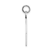 Sterling Silver Rhodium-plated Medical Jewelry Pendant view 2