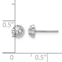 14K White Gold 5mm Polished Diamond-cut Half Ball Post Earrings view 4