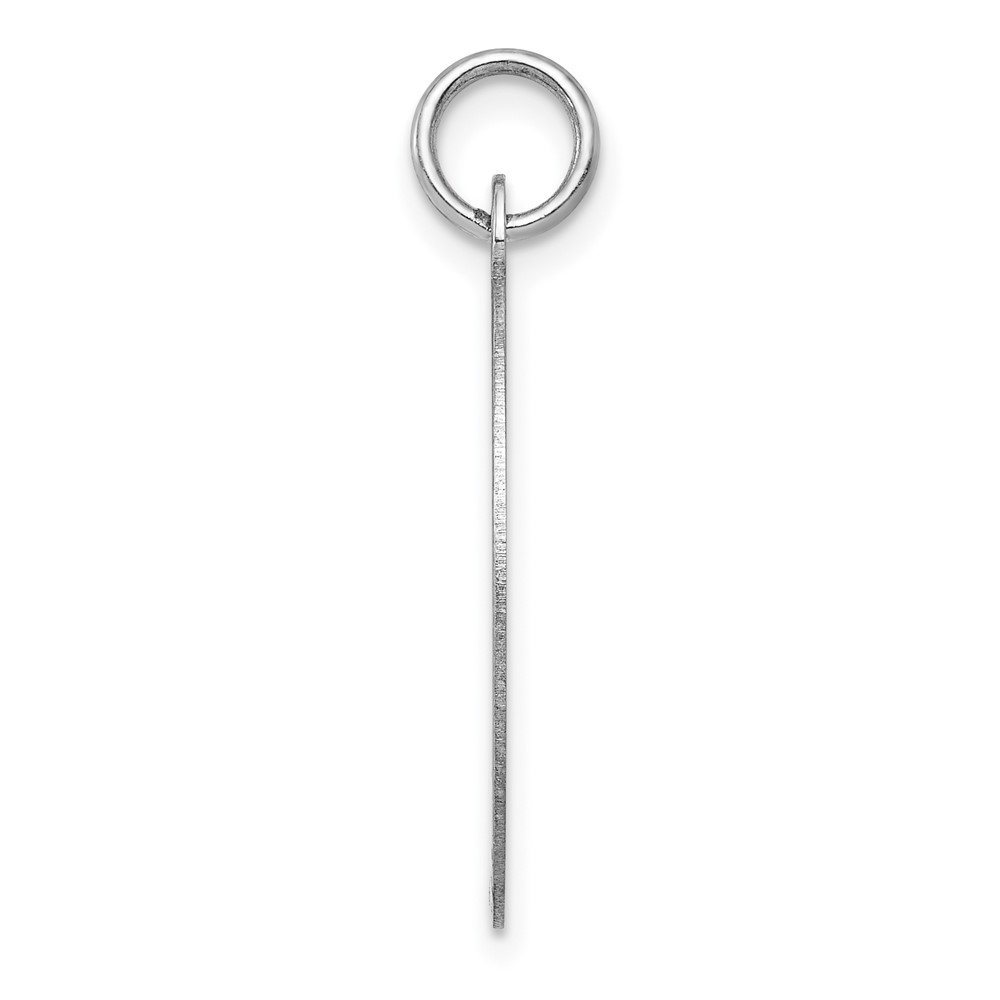 14k White Gold Plain .027 Gauge Oval Engravable Disc Charm (XWM101/27)