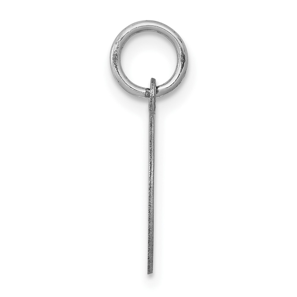 14K White Gold Round Disc Charm (XWM593/09)