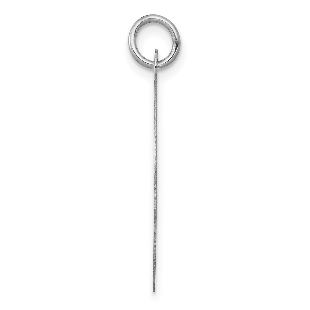 14K White Gold Round Disc Charm (XWM595/09)