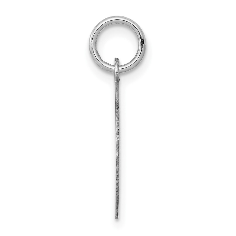 14k White Gold Plain .027 Gauge Circular Engravable Disc Charm (XWM605/27)