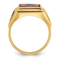 IB Goodman 14K Yellow Gold Mens Polished and Textured Ring with Black Enamel and Lab Created Ruby Masonic view 2