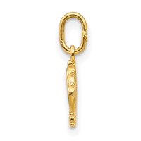 14K Yellow Gold Crown Charm view 2