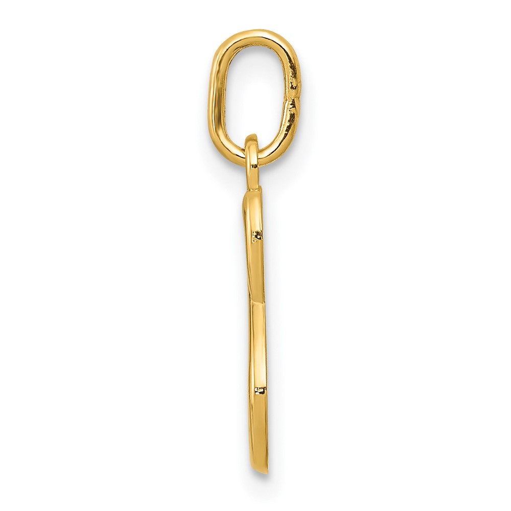 14k Yellow Gold Letter S Initial Charm (YC1060S)