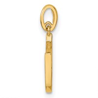 14K Yellow Gold CZ Horseshoe Pendant view 2