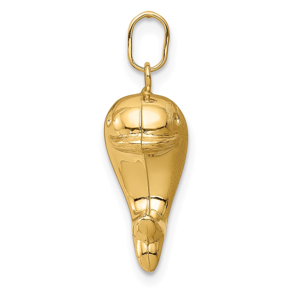 14k Hollow Satin & Polished Fish Charm (YC1426)