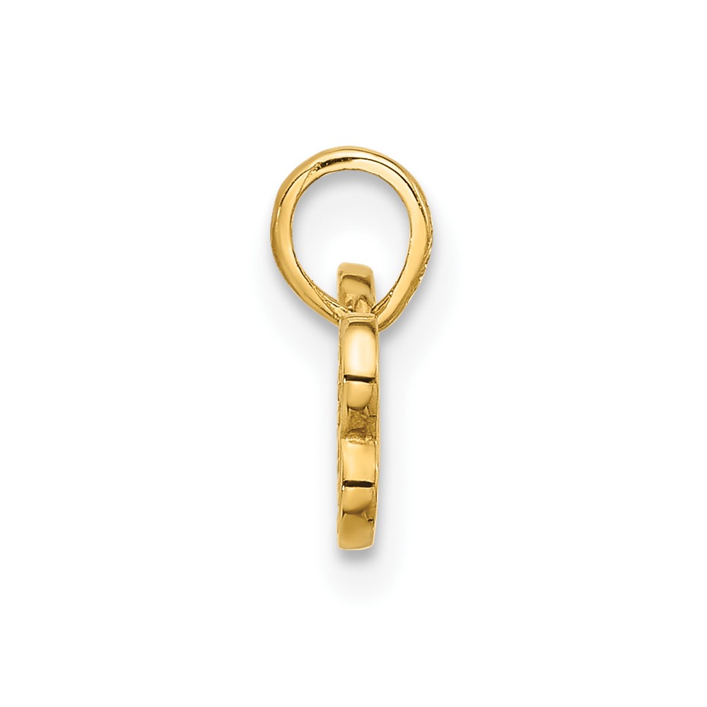 14K Polished CZ Dog Bone Pendant (YC1586)