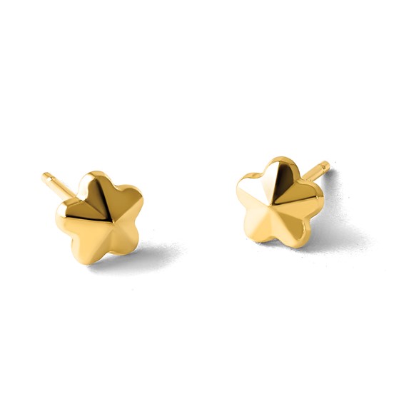 14K Polished Flower Post Earrings