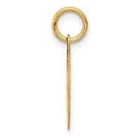 14K Yellow Gold Small Paramedic Medical Charm view 2
