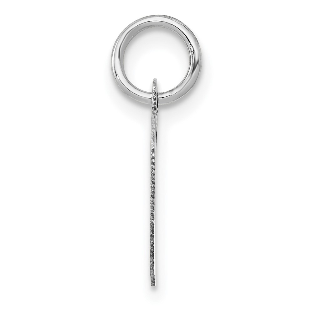 14k White Gold Small Fancy Script Letter D Initial Charm (YC651D)