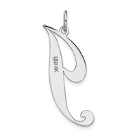 14K White Gold Large Fancy Script Letter J Initial Charm view 4