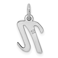 14K White Gold Small Script Letter N Initial Charm view 4