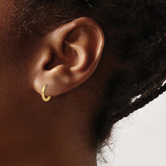 Gold Hinged Hoop Earrings