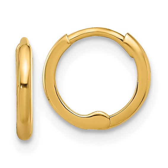 Gold Hinged Hoop Earrings