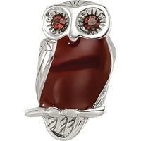 Sterling Silver Reflections Brown Enameled Wise Owl Bead view 4